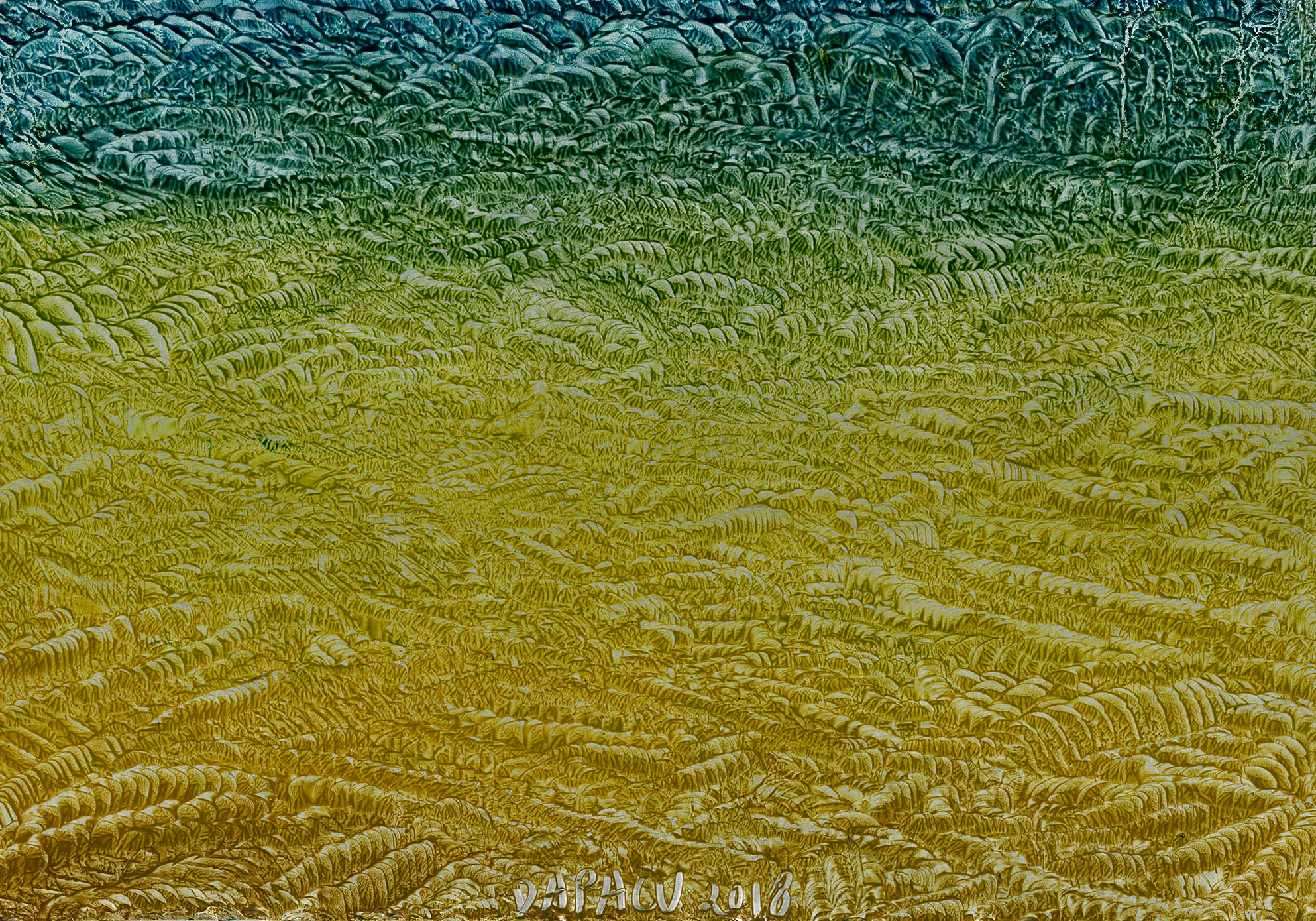 Austin Museum